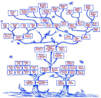 Wall Art - Photograph - Guggenheim Family Tree by Science Source