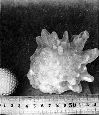 Wall Art - Photograph - Hailstone, 1953 by Science Source