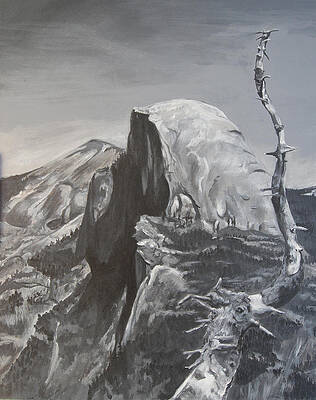 Half Dome Tree by Travis Day Half Dome Tree by Travis Day