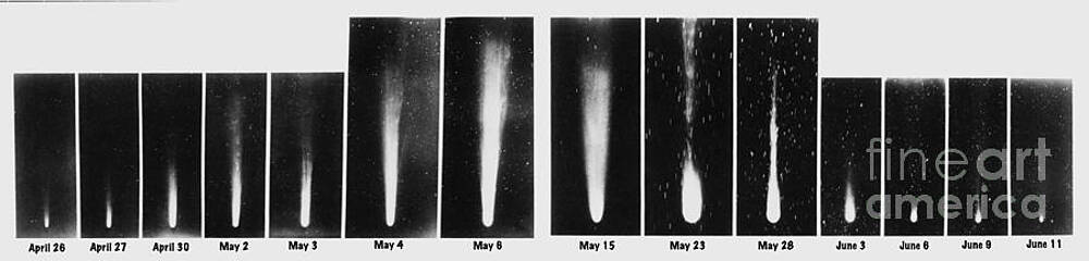Wall Art - Photograph - Halleys Comet, 1910 by Science Source
