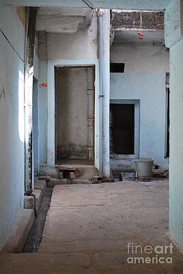 Hang Dog by Jen Bodendorfer