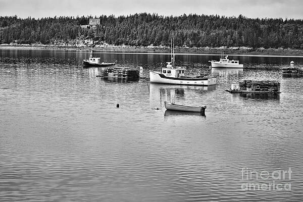 Harbor in Black and white by Traci Cottingham Harbor in Black and white by Traci Cottingham