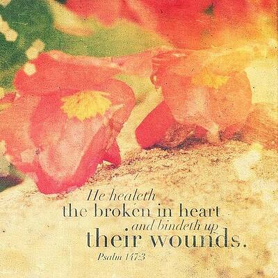 Wall Art - Photograph - He Healeth The Broken In Heart And by Traci Beeson