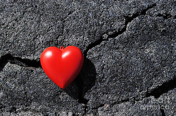Wall Art - Photograph - Heartshape on cold black lava by Sami Sarkis Photography