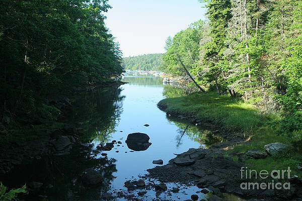 Wall Art - Photograph - High Tide In Maine Part Of A Series by Ted Kinsman