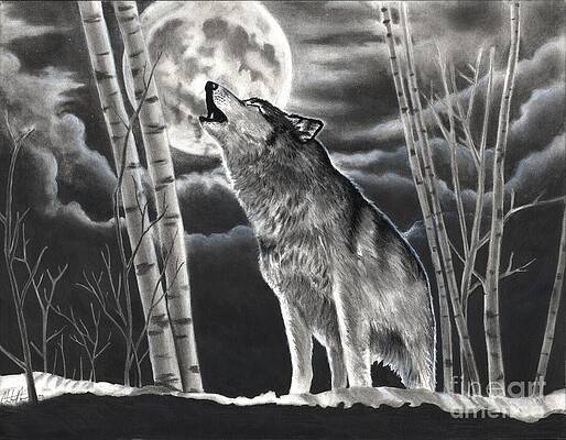 Wall Art - Drawing - Howling at the Moon by Christian Conner