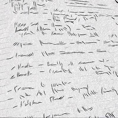 Wall Art - Photograph - I Really Need To Work On My Writing by Stewart Baird