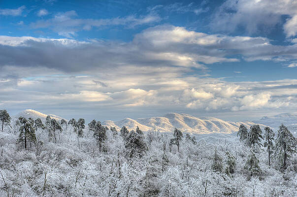 Wall Art - Photograph - Ice on the Mountain by Joye Ardyn Durham