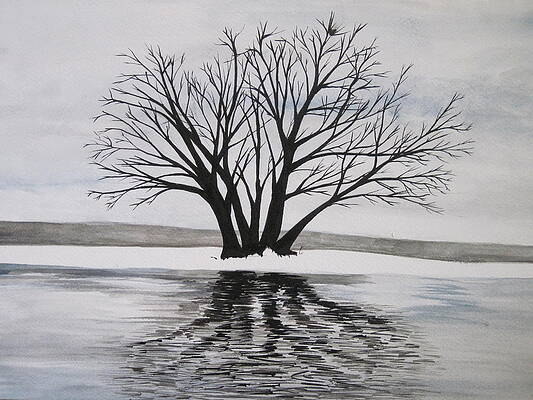 IceTree by Tabitha Marshall