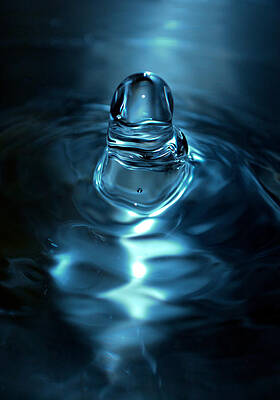 Imagine by Debbie Kelly