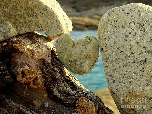 In the Heart of Things by Lainie Wrightson In the Heart of Things by Lainie Wrightson