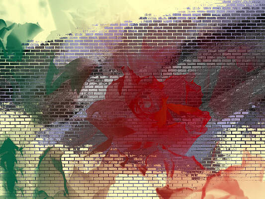 Esplosione di luce colorata Digital Art by Orazio Puccio - Pixels