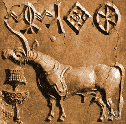 Wall Art - Photograph - Indus Valley Unicorn Relief by Science Source