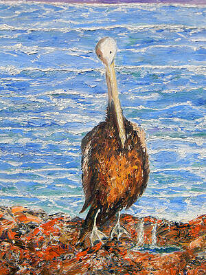 Pelican Paintings (Page #18 of 35) | Fine Art America
