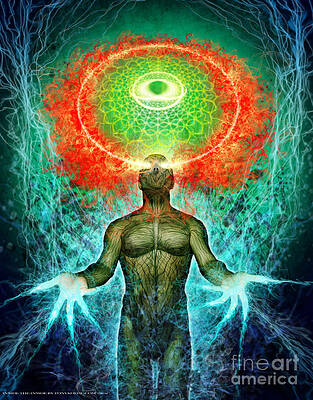 Inside the Inside by Tony Koehl Inside the Inside by Tony Koehl