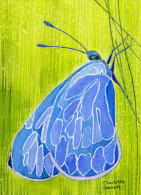 Intuition Butterfly by Charlotte Garrett Intuition Butterfly by Charlotte Garrett