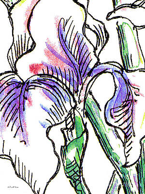 Wall Art - Painting - Iris Abstract Painting 2 by Gordon Punt