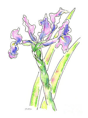 Wall Art - Painting - Iris Watercolor Painting 1 by Gordon Punt