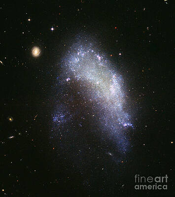Wall Art - Photograph - Irregular Galaxy Ngc 1427 by Nasa