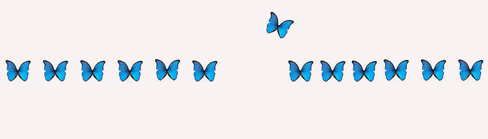 Nature Digital Art - It's Good To Be Different by Georgia Clare