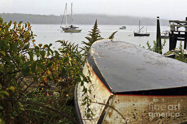 Wall Art - Photograph - Johnnies Dinghy by Brenda Giasson