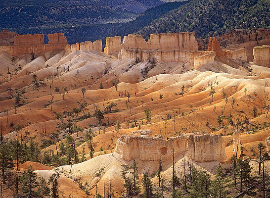 Wall Art - Photograph - Landscape Of Eroded Formations Called by Tim Fitzharris