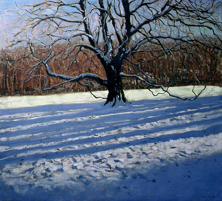 Wall Art - Painting - Large Tree by Andrew Macara