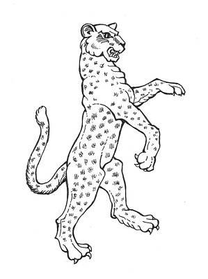 Leopard by David Burkart Leopard by David Burkart