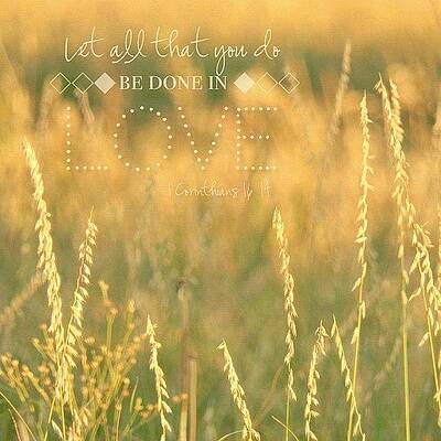 Wall Art - Photograph - let All That You Do Be Done In by Traci Beeson