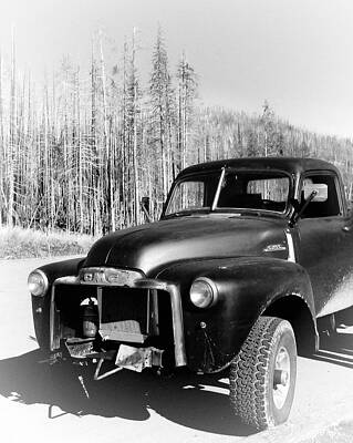 Limping Through Yellowstone by Gary Baird Limping Through Yellowstone by Gary Baird