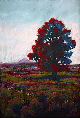 Lone Tree by Drusilla Montemayor Lone Tree by Drusilla Montemayor