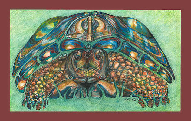 Looks Can be Deceiving by Karen Camden Welsh Looks Can be Deceiving by Karen Camden Welsh
