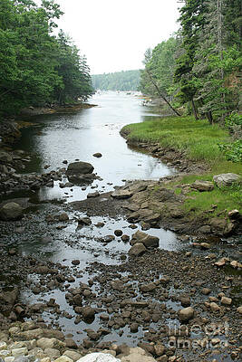 Wall Art - Photograph - Low Tide In Maine Part Of A Series by Ted Kinsman