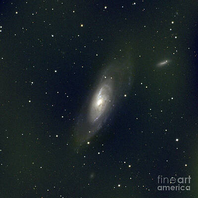 Wall Art - Photograph - M106 Galaxy by Science Source