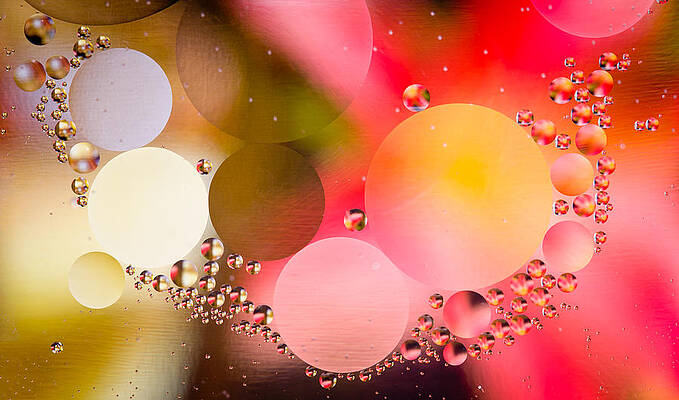 Wall Art - Photograph - Macro shot of abstract oil in water droplets by Steven Heap