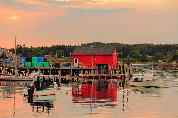 Maine Island Life by Doug Mills Maine Island Life by Doug Mills
