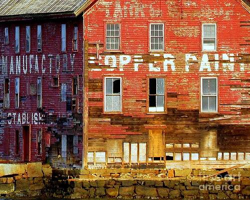 Abondoned Not Forgotten by Lori Lafargue Abondoned Not Forgotten by Lori Lafargue