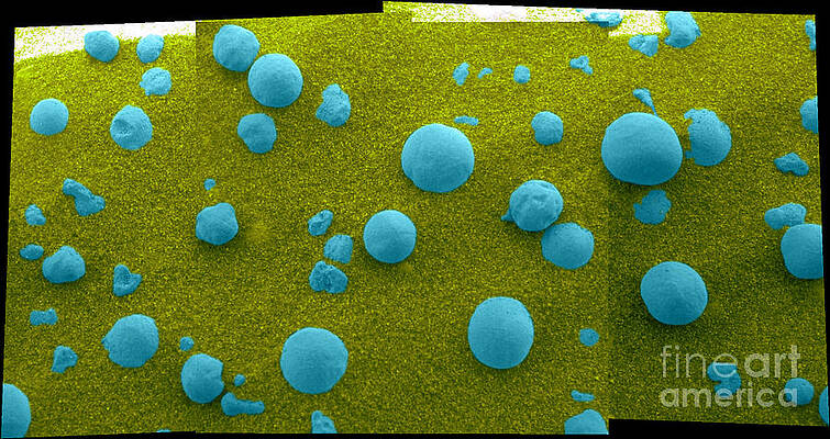 Wall Art - Photograph - Martian Soil by NASA/Science Source