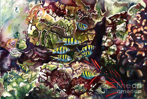 Maui Reef by David Ignaszewski Maui Reef by David Ignaszewski
