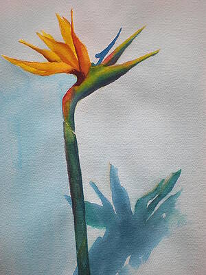 Me and My Shadow by Lori Chase Me and My Shadow by Lori Chase