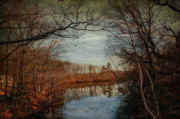 Wall Art - Photograph - Meandering Through by Robin-Lee Vieira