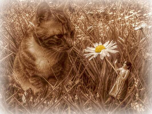 Meeting Milo by Susie  Hawkins