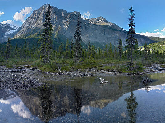 Wall Art - Photograph - Michael Peak Reflection Emerald Lake by Tim Fitzharris