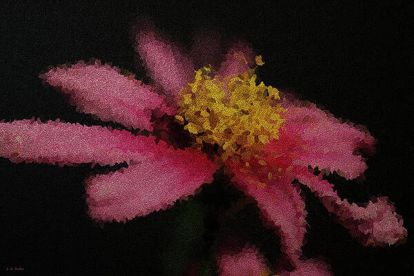 Midnight Bloom by Lauren Radke Midnight Bloom by Lauren Radke