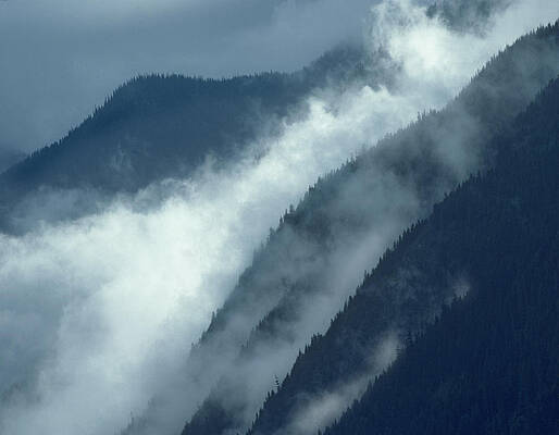Wall Art - Photograph - Mist Rising In The Cascade Mountains by Tim Fitzharris