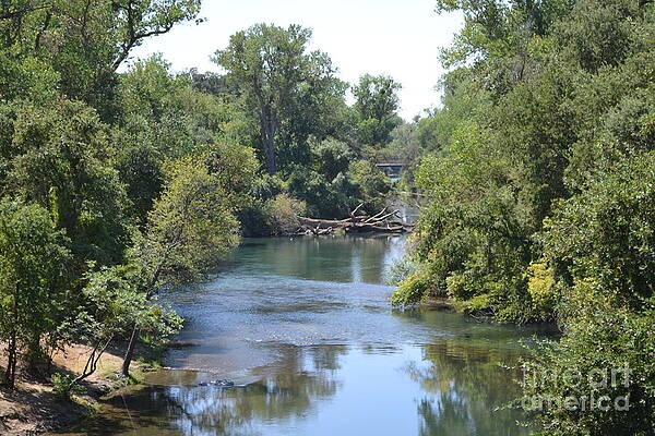 Mokelumne River by Bob Rowell Mokelumne River by Bob Rowell