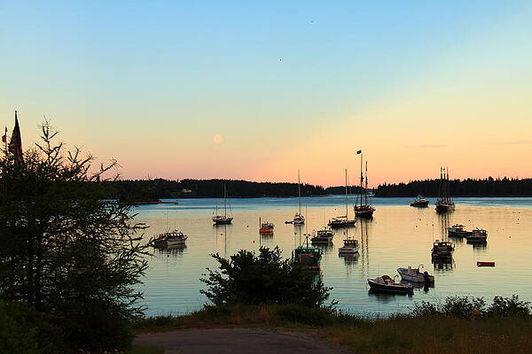 Moonrise at Burnt Coat Harbor by Doug Mills Moonrise at Burnt Coat Harbor by Doug Mills
