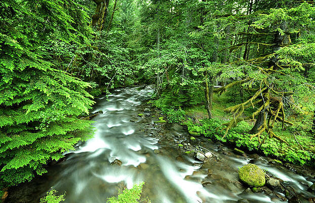 Mt. Hood Creek by Matt Hanson Mt. Hood Creek by Matt Hanson