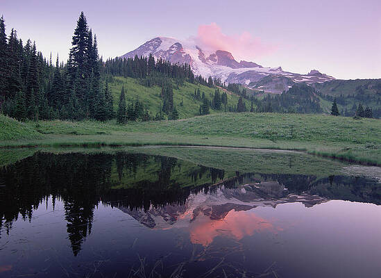 Wall Art - Photograph - Mt Rainier Reflected In Lake Mt Rainier by Tim Fitzharris