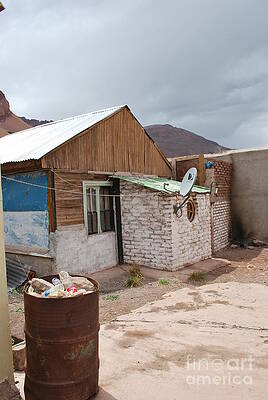 Must See TV by Jen Bodendorfer